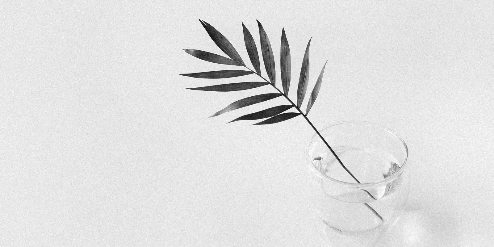 Lights Winged Seasons